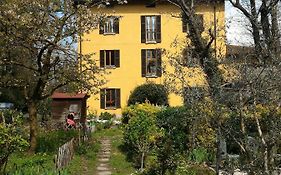 Il Gelsomino